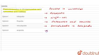 Pseudopodia in Entamoeba and Amoeba are called [upl. by Joellen]