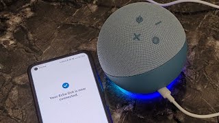 Alexa ko phone se kaise connect kare  Alexa ko wifi se kaise connect kare  Echo dot 4th gen setup [upl. by Macomber20]