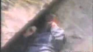 Accident in zoo very emotional [upl. by Ekusuy]