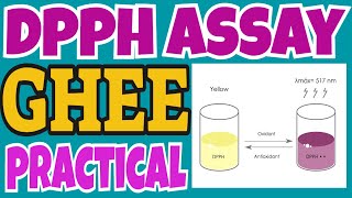 Antioxidant assay by DPPH Method II Free radical scavening activity ghee samples [upl. by Levania497]