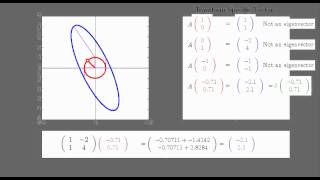 What is an Eigenvector Eigenvalue [upl. by Ilke126]