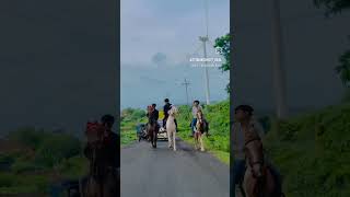 ❤️ Ha Tamari Jodi Ha ❤️ Horse Attitude  short  video  Tandig  🐎🏇🏇🐴🐴 [upl. by Uyr]