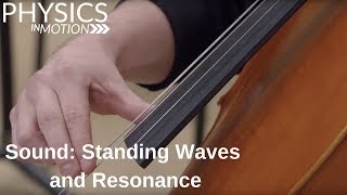 Sound Standing Waves and Resonance  Physics in Motion [upl. by Moina448]