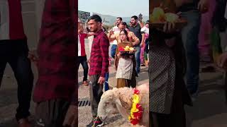 Kishtwari Dance Biloria Family Nagrota pahadiculture pahadidance kishtwar [upl. by Sheeran154]