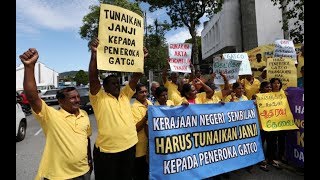 Bermalam di Wisma Negeri jika MB tak mahu jumpa  Peneroka Gatco [upl. by Kciremed]