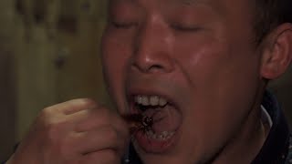 ¿Cucaracha laqueada o con picante En China estos bichos se degustan [upl. by Silenay]