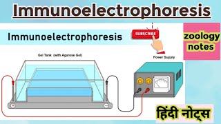 Immunoelectrophoresis MSc zoology 2nd semester Hindi notes [upl. by Alih9]