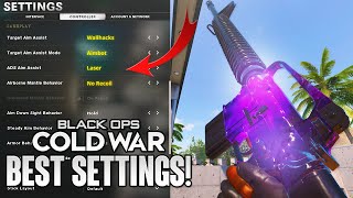 Best PRO Player SETTINGS for 100 ACCURACY Black Ops Cold War [upl. by Sinnej]