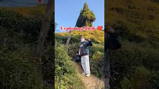 Exploring Mirik Darjeeling darjeeling mirik darjeelingtour reels shorts shortsvideo [upl. by Dotty]