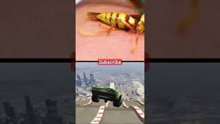 Executioner Wasp sting coyote Peterson😂coyotepeterson wasp ytshorts subscribe ytviral sting [upl. by Nanon]