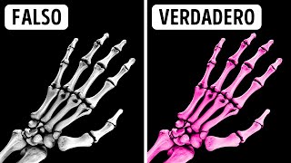 Curiosidades Del Cuerpo Asombrosas Que No Creerás Sin Pruebas [upl. by Scevo]