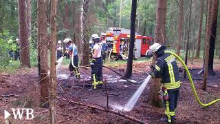 Waldbrand bei Schloß HolteStukenbrock [upl. by Hinkel]