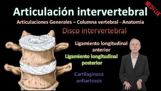 🦵Articulación intervertebral  Sínfisis intervertebral   Columna Vertebral  Anatomía [upl. by Ettenig]