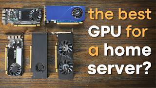 Whats the BEST LowProfile GPU for your Home Lab [upl. by Plusch]