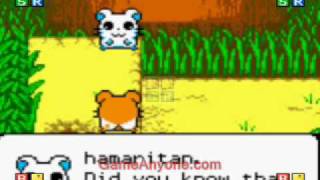 Hamtaro HamHams Unite Bijou Part 12 [upl. by Neelsaj]