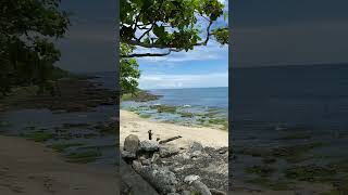 Beach Wave 🥰🌊🍃 trending philippines shorts short shortvideo viral ShortsViral [upl. by Linker]