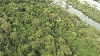 Déforestation en Amazonie un explorateur veut sensibiliser lopinion [upl. by Gib984]