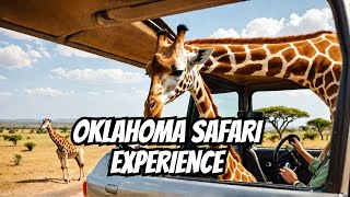 Inside Look at Arbuckle DriveThru Safari in Oklahoma [upl. by Battat249]