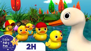 5 Little Ducks  Little Baby Bum  Best Baby Songs  Nursery Rhymes for Babies [upl. by Eylhsa492]