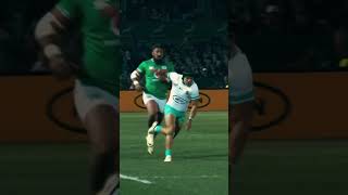 💥🥶Cheslin Kolbes Unbelievable Kick 🇿🇦⚡ Springboks Stun Ireland with Epic Try [upl. by Ehctav]