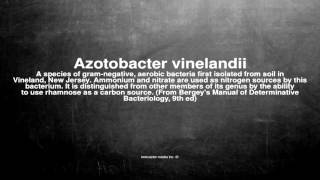 Medical vocabulary What does Azotobacter vinelandii mean [upl. by Dnarud]