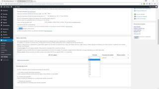 Instalar y configurar Google XML Sitemaps en Wordpress [upl. by Nylsor688]