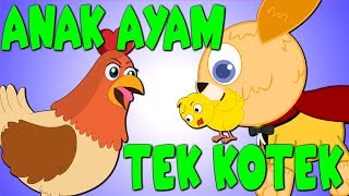 TEK KOTEK KOTEK ANAK AYAM TURUN BERKOTEK  Lagu Kanak Kanak Melayu Malaysia [upl. by Ihab526]