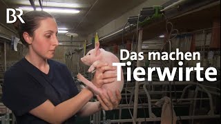 Tierwirtin Fachrichtung Schweinehaltung  Ausbildung  Beruf  Ich machs  BR [upl. by Sremmus35]