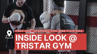 Sparring PRO MMA Fighters  Tristar Gym [upl. by Horowitz]