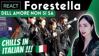 REACTING to FORESTELLA  포레스텔라  Dell Amore Non Si Sa [upl. by Kama718]