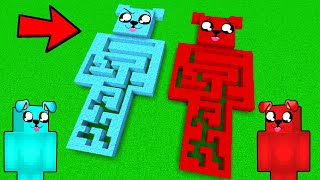 KOLOROWE LABIRYNTY w Minecraft 🔵🔴 [upl. by Odlaw]