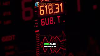 BNB Drops Below 620 USDT Trading at 61831 USDT with 216 Loss in 24 Hours shorts crypto bnb [upl. by Wyndham]