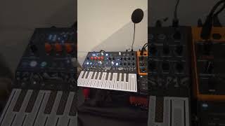 Roland SE02  Arturia Drumbrute Impact  Behringer Crave  Arturia Microfreak  Jam [upl. by Mavilia]