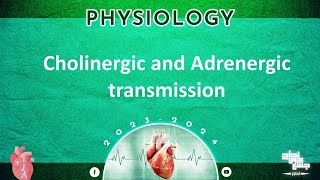 Mcq of L 910 Cholenergic and adrenergic transmission Physiology [upl. by Kcira163]