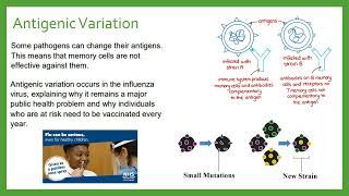 Antigenic Variation [upl. by Dagley]