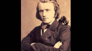 Johannes Brahms  String Quartet No 3 in B Flat Major Op 67 [upl. by Harlan]