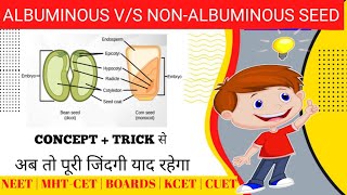 Endospermic VS Non Endospermic Seeds 😎Trick To Learn albuminous and Non albuminous seed example👍🏻🎯 [upl. by Franz899]