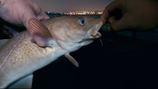 COD Fishing from the Pier at Night  Sea Fishing UK [upl. by Ainek]