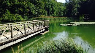 Baselland Tourismus  Ermitage Arlesheim [upl. by Acirehs]