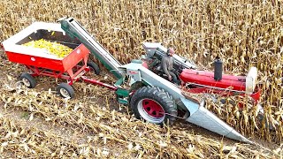 Picking Corn and Grinding Feed On A Dairy Farm Harvest 2024 [upl. by Einberger848]