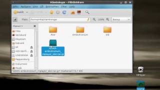 How To add skins to Mplayer in Linux [upl. by Freda146]