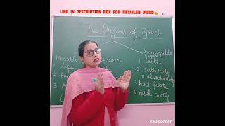 Organs of Speech speech organs phonetics english [upl. by Neened617]