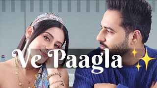 Ve Paagla  Remix Song  Isha Malviya  Rajat Nagpal  Feelofmusic4050 [upl. by Eugene856]