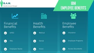 IBM Employee Benefits  Benefit Overview Summary [upl. by Magdala]