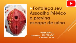 Fortaleça seu Assoalho Pélvico e previna escape de urina [upl. by Geoff72]