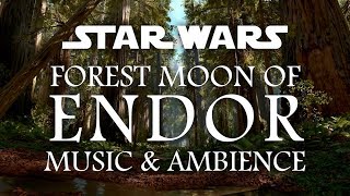 Star Wars Music and Ambience  Moon of Endor [upl. by Bevvy]