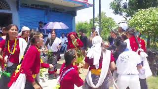 Sakela Dance 2080  NCC Students  Practice  Nepal Computer Center [upl. by Balcer]