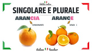 SINGOLARE e PLURALE  Easy Exercises  GRAMMAR  Italian for Beginners [upl. by Gorlicki750]