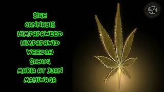 BEST PINOY WEED SONG COMPILATION  PT2 [upl. by Rimahs]