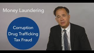 Analyze This Money Laundering and Terrorism Financing [upl. by Einahpets272]